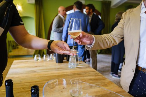 Degustazioni aziendali colli euganei