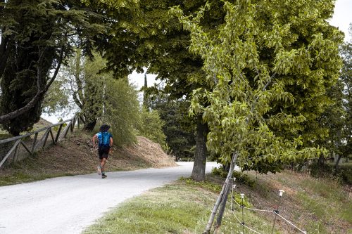 attivita_colli_euganei-2